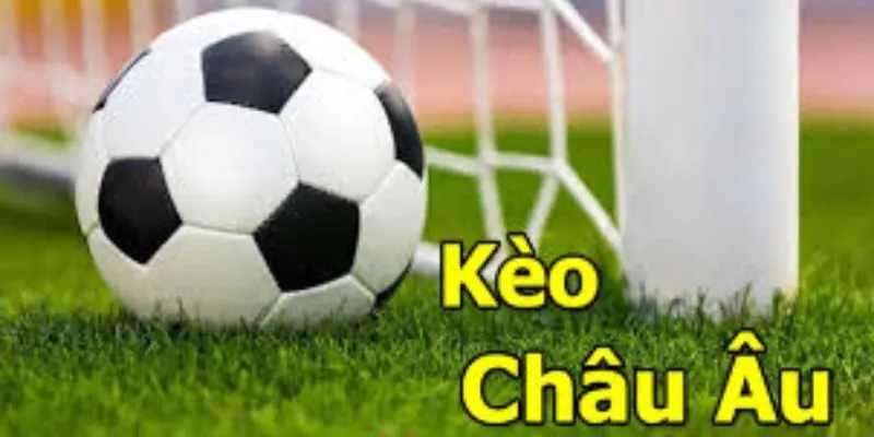 Bí quyết dự đoán kèo Châu Âu chính xác giúp tăng tỷ lệ thắng Bí quyết dự đoán kèo Châu Âu chính xác giúp tăng tỷ lệ thắng