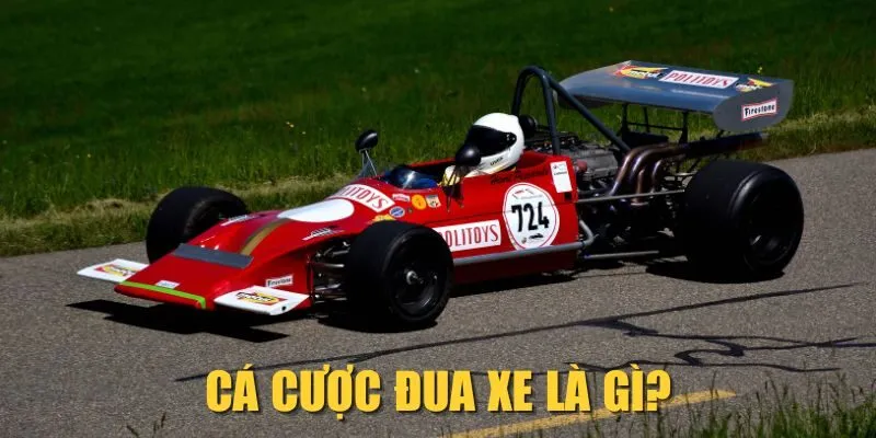 Cá cược đua xe là gì?