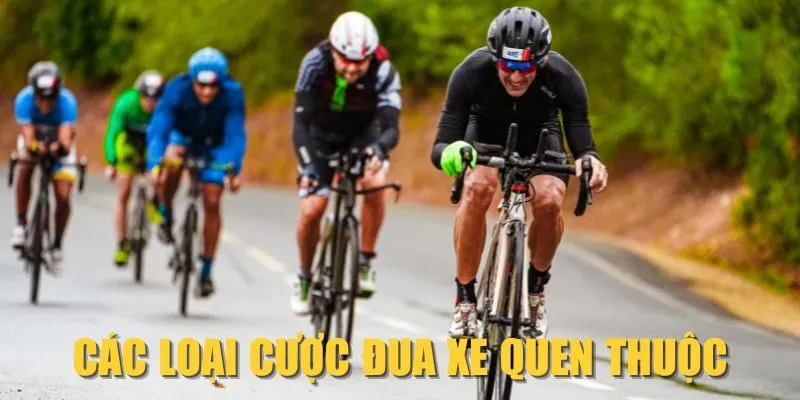 Các loại cược đua xe quen thuộc