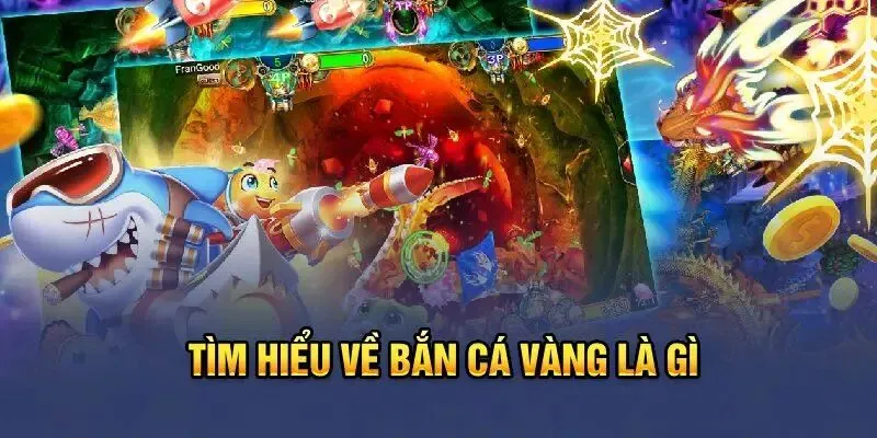 Kiến thức tổng quan về hình thức săn cá vàng