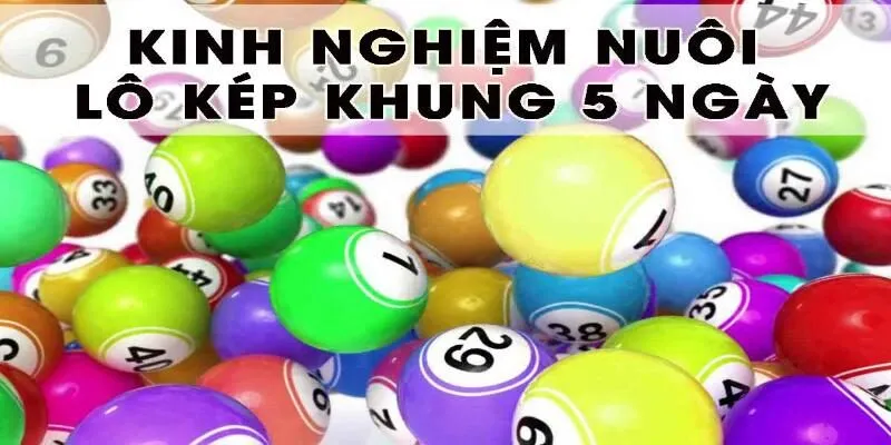 Việc tối ưu ngân sách sẽ giúp người tham gia kiếm được nhiều tiền Việc tối ưu ngân sách sẽ giúp người tham gia kiếm được nhiều tiền